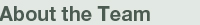 About the Team
